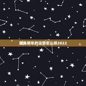 属兔明年的运势怎么样2022，生肖兔今年运势怎么样