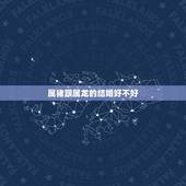 属猪跟属龙的结婚好不好，猪男女龙婚姻怎么样