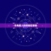 乌龟看人的时候在想啥，乌龟认人吗？