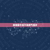 属相猪牛是不是脾气相冲，属牛和什么属相相克