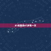 81年属鸡41岁有一灾 属鸡的人干什么最挣钱