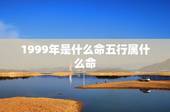 1999年是什么命五行属什么命，1995年是什么命五行