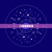 12属相婚配表，12生肖含义