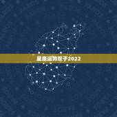 星座运势双子2022，双子座的星座运势