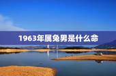 1963年属兔男是什么命，男63年兔阴历11月初三是啥命