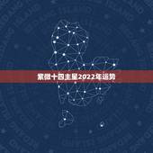 紫微十四主星2022年运势，2022紫微斗数运势