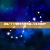 属虎人今年婚姻状况 属虎的人今年婚姻顺利吗