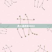 虎人遇虎年2022，2022 年日历全年表