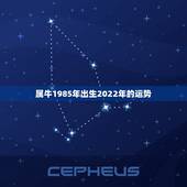 属牛1985年出生2022年的运势，属牛85年11月l1出生的今年运势