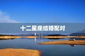 十二星座结婚配对，十二星座配对表