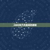 2000年六月属龙的婚配，2000年属龙男生婚配