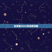 生肖猪2022年运势详解，麦玲玲2019年属猪人本命年运势如何