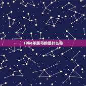 1966年属马的是什么命，1966年属马2022年运势