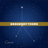缘来缘去都是放不下的你原唱，缘来缘去还是放不下的你！是这首歌什么歌？