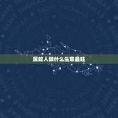 属蛇人做什么生意最旺，属蛇的人去什么方向做生意最好