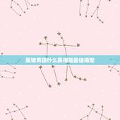 属猪男跟什么属相是最佳婚配，属猪男和属猪女要什么属相的宝宝好