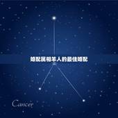 婚配属相羊人的最佳婚配，1991年属羊的最佳配偶