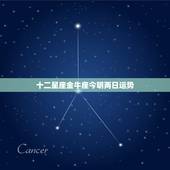 十二星座金牛座今明两日运势，十二星座今日运气