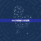2022年属蛇12月运势，2022年属鸡人的全年运势