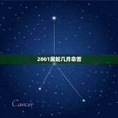 2001属蛇几月命苦，2001年九月命苦