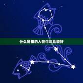 什么属相的人在牛年比较好，属牛的和什么属相配最好呢！