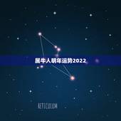 属牛人明年运势2022，牛年属马运势2022 年运势