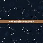 1984年的老鼠今年的运势怎样，1984属鼠人全年运势