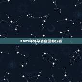 2021年怀孕清宫图怎么看，生男生女清宫图2021年推算表怎么算