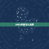2002年属马人运势，2002年属马是什么命 2002年出生人的命运