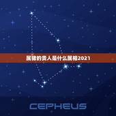 属猪的贵人是什么属相2021，2021年属猪的运势及运程？