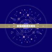 属兔和属龙合婚吗，属兔的和属龙的配不配