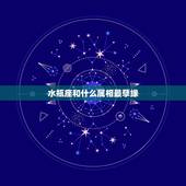 水瓶座和什么属相最孽缘，水瓶座和什么座最配？最好呢？