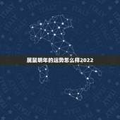 属鼠明年的运势怎么样2022，84年属鼠37岁有一灾2022