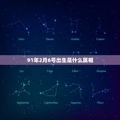 91年2月6号出生是什么属相，本人男1991年2月6日属羊什么命？