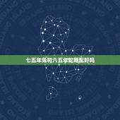 七五年兔和六五年蛇婚配好吗，属六五年属蛇男与七五年属兔女能结为夫妻吗？