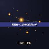 属鼠的十二月份运势怎么样，属鼠人的运气