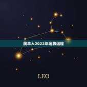 属羊人2022年运势运程，91羊2022年运势完整版