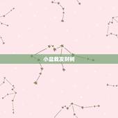 小盆栽发财树，如何养发财树小盆栽