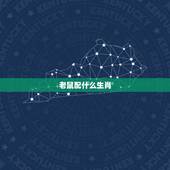 老鼠配什么生肖，属鼠的和什么生肖最合适