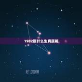 1982属什么生肖属相，82年属什么生肖