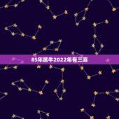 85年属牛2022年有三喜 遇到贵人财运变好