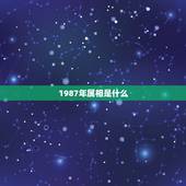 1987年属相是什么，1963年属相是什么