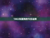 1982年属狗的今日运势，82年属狗今天的运气