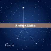 属狗跟什么属相最配，属狗跟什么属相犯冲