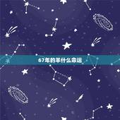 67年的羊什么命运，67属羊一生有几次婚姻