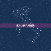属牛人闰六月运势，属牛人今年运势？