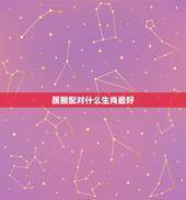 属猴配对什么生肖最好，猴年出生的人和什么属相的人结婚是最好的配偶