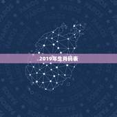 2019年生肖码表，2019年十二生肖万年历