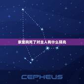 家里狗死了对主人有什么预兆，快过年了家里狗突然死了是什么预兆