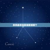 养狗最忌讳属相属相哪个，最佳属相配偶